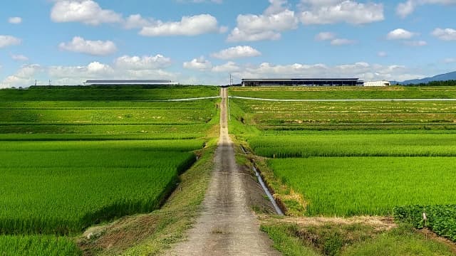 大津町と菊陽町の土地価格の相場とは？半導体工場だけじゃない！他にも注目すべきポイント